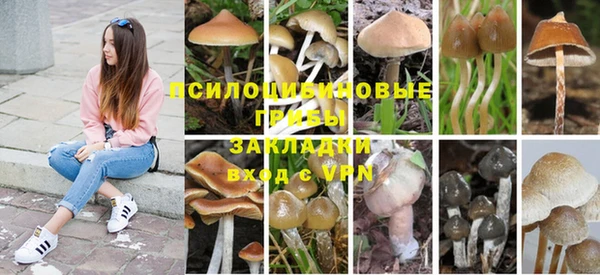 MDMA Premium VHQ Горняк